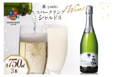 ワイン 嘉スパークリング シャルドネ 750ml 3本 セット [高畠ワイナリー 山形県 高畠町 tk06ays730028] ワイン 酒 お酒 白 スパークリング 白ワイン 辛口