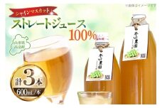 シャインマスカット ストレートジュース 600ml 計3本  [本田農園 山形県 高畠町 tk06ays820004] 果物 くだもの フルーツ 飲料 飲み物 100％ ジュース