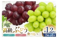 【期間限定発送】 ぶどう 食べ比べ 高級ぶどう シャインマスカット マイハート 各1房 約1.2kg 詰め合わせ セット [安達敏幸 山形県 高畠町 tk06ays830009] 箱詰め フルーツ 果物 くだもの ぶどう ブドウ 葡萄 1.2キロ 甘い