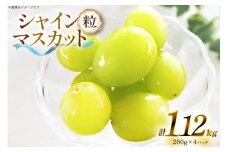 【期間限定発送】 シャインマスカット 粒 280g 4p 1.12kg 朝採れ [もん前の里 山形県 高畠町 tk06ays960007] フルーツ 果物 くだもの ぶどう ブドウ 葡萄 大粒 甘い