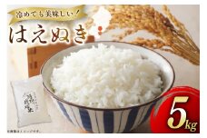 米 令和7年度産 はえぬき 5kg [渡部ファーム 山形県 高畠町 tk06ays810033] お米 白米 精米 ごはん ご飯 ブランド米