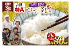 米 定期便 3回 令和7年産 厳選米 匠 特別栽培米 つや姫 10kg 計30kg [金子農園 山形県 高畠町 tk06ays950035] 精米 白米 米 お米 ブランド米 ごはん ご飯