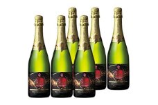 スパークリングワイン 高畠シードル 750ml 6本 [高畠ワイナリー 山形県 高畠町 tk06ays730015] 高畠ワイナリー ワイン 甘口 りんご ふじ フルーツワイン 酒