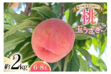 【期間限定発送】 桃 玉うさぎ 2kg (6〜8玉) [東城農園 山形県 高畠町 tk06ayt370003] もも モモ 果物 くだもの フルーツ 冷蔵