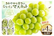 【期間限定発送】 シャインマスカット 山形県産シャインマスカット 4kg (6〜8房) [本田農園 山形県 高畠町 tk06ays820005] シャイン マスカット ぶどう 葡萄 ブドウ 果物 くだもの フルーツ 種無し