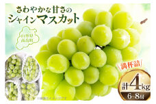 【期間限定発送】 シャインマスカット 山形県産シャインマスカット 4kg (6〜8房) [本田農園 山形県 高畠町 tk06ays820005] シャイン マスカット ぶどう 葡萄 ブドウ 果物 くだもの フルーツ 種無し