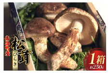 【期間限定発送】 松茸 ひらき 詰め合わせ 1箱 約250g (2〜4本入) [フレッシュマートたねや 山形県 高畠町 tk06ays880000] きのこ キノコ まつたけ 国産 天然 山の幸 ご飯 土瓶蒸し 松茸ご飯