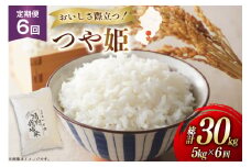 米 定期便 6回 令和7年 つや姫 5kg 6回 計30kg [渡部ファーム 山形県 高畠町 tk06ays810038] お米 白米 精米 ごはん ご飯 ブランド米