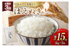 米 定期便 3回 令和7年 はえぬき 5kg 3回 計15kg [渡部ファーム 山形県 高畠町 tk06ays810041] お米 白米 精米 ごはん ご飯 ブランド米