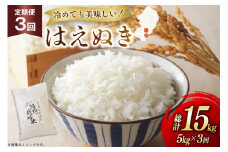 米 定期便 3回 令和7年 はえぬき 5kg 3回 計15kg [渡部ファーム 山形県 高畠町 tk06ays810041] お米 白米 精米 ごはん ご飯 ブランド米