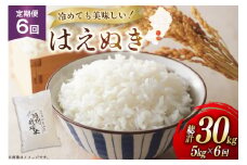 米 定期便 6回 令和7年 はえぬき 5kg 6回 計30kg [渡部ファーム 山形県 高畠町 tk06ays810042] お米 白米 精米 ごはん ご飯 ブランド米