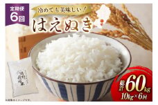 米 定期便 6回 令和7年 はえぬき 10kg 6回 計60kg [渡部ファーム 山形県 高畠町 tk06ays810044] お米 白米 精米 ごはん ご飯 ブランド米