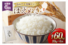 米 定期便 6回 令和7年 はえぬき 10kg 6回 計60kg [渡部ファーム 山形県 高畠町 tk06ays810044] お米 白米 精米 ごはん ご飯 ブランド米