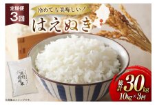 米 定期便 3回 令和7年 はえぬき 10kg 3回 計30kg [渡部ファーム 山形県 高畠町 tk06ays810043] お米 白米 精米 ごはん ご飯 ブランド米