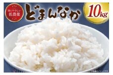 米 令和6年産 どまんなか 白米 10kg [冨樫商店 山形県 高畠町 tk06ayt290000] こめ コメ 精米 ごはん ご飯 ブランド米
