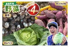 3種 野菜 ( キャベツ さつまいも 里芋 ) 計約4kg セット [農家の店しゃんくすろーど 山形県 高畠町 tk06bcz250000] やさい 詰め合わせ サツマイモ 芋 さといも 食べ比べ 