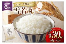 米 定期便 6回 令和7年 雪若丸 5kg 6回 計30kg [渡部ファーム 山形県 高畠町 tk06ays810048] お米 白米 精米 ごはん ご飯 ブランド米