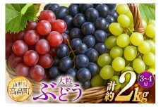 【期間限定発送】 ぶどう 2～3色 約 2kg 詰め合わせ セット [JA山形おきたま 山形県 高畠町 tk06ays870046] シャインマスカット 葡萄 セット ブドウ 巨峰 ピオーネ クイーンニーナ ゴルビー 高尾 蔵王おとめ 大粒 農家直送 朝採れ 食べ比べ 2キロ