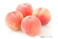 【期間限定発送】 高畠町産 桃 6～10玉 3kg [JA山形おきたま 山形県 高畠町 tk06ays870044] 桃 もも モモ フルーツ くだもの 果物