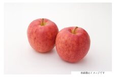 【期間限定発送】 りんご 高畠町産 涼香の季節 14～18玉 5kg [JA山形おきたま 山形県 高畠町 tk06ays870045] 果物 くだもの フルーツ 林檎 リンゴ 産地直送