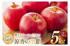 【期間限定発送】 りんご 高畠町産 涼香の季節 14～18玉 5kg [JA山形おきたま 山形県 高畠町 tk06ays870045] 果物 くだもの フルーツ 林檎 リンゴ 産地直送