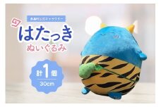 ぬいぐるみ 高畠町 公式キャラクター はたっき [高畠町観光協会 山形県 高畠町 tk06ays670004] 公式 キャラ キャラクター 泣いた赤おに