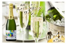 スパークリング 高畠ワイナリー スパークリングワイン 750ml 4本 [小田部商店 山形県 高畠町 tk06ayt180154] 白ワイン やや辛口 デラウェア お酒 酒