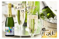 スパークリング 高畠ワイナリースパークリングワイン 750ml 1本 [小田部商店 山形県 高畠町 tk06ayt180155] 白ワイン やや辛口 デラウェア お酒 酒