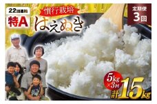 米 定期便 3回 令和7年産 慣行栽培 はえぬき 5kg 計15kg [金子農園 山形県 高畠町 tk06ays950036] 精米 白米 米 お米 ブランド米 ごはん ご飯