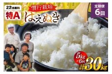 米 定期便 6回 令和7年産 慣行栽培 はえぬき 5kg 計30kg [金子農園 山形県 高畠町 tk06ays950037] 精米 白米 米 お米 ブランド米 ごはん ご飯