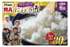 米 定期便 6回 令和7年産 金子農園 厳選米 匠 特別栽培米 はえぬき 5kg 計30kg [金子農園 山形県 高畠町 tk06ays950038] 精米 白米 米 お米 ブランド米 ごはん ご飯