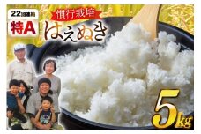 米 慣行栽培 令和7年産 はえぬき 5kg [金子農園 山形県 高畠町 tk06ays950039] 精米 白米 米 お米 ブランド米 ごはん ご飯