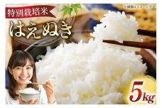 米 令和7年 特別栽培米 はえぬき 5kg [はまえん 山形県 高畠町 tk06ayt030004] 5キロ お米 ブランド米 ごはん ご飯 白米 精米 こめ