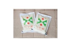川西町産米「つや姫」玄米　真空パック詰　25kg＜令和2年産＞【1203627】