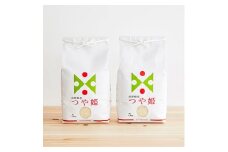 特別栽培米　つや姫　10kg(5kg×2袋)【1204675】
