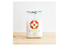 雪若丸　5kg【1204678】