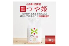 令和6年産　山形県産　つや姫　5kg【1120491】