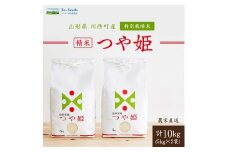 令和6年産　山形県産　つや姫　10kg(5kg×2袋)【1120492】