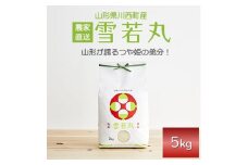 令和6年産　山形県産　雪若丸　5kg【1120495】