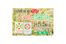 令和5年産　つや姫・雪若丸計5.5kg　精米セット　真空パック詰【1121433】