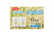 令和5年産　はえぬき6kg　精米　真空パック詰【1121435】