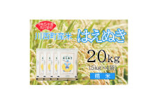 令和5年産　はえぬき20kg　精米　真空パック詰【1121441】