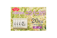 令和5年産　コシヒカリ20kg　精米　真空パック詰【1121443】