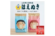 令和6年産　山形県産　はえぬき　10kg【1207046】