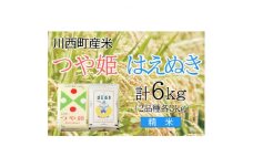 つや姫・はえぬき計6kg　精米セット　真空パック詰【1144399】