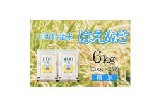 はえぬき6kg　精米　真空パック詰【1144402】