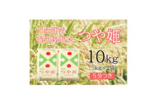 つや姫10kg　5分つき　真空パック詰【1144447】
