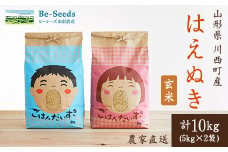 令和6年産　山形県産　はえぬき　玄米　10kg_ 米 こめ 玄米 はえぬき 山形県 ブランド米 産地直送 人気 おすすめ 贈答 ギフト プレゼント 送料無料 お取り寄せ お米 ごはん 【1144538】