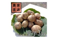 ＜2025年10月下旬発送開始＞農家直送　土付き里芋(大和早生)3kg【1233440】
