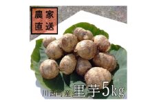 「2025年10月下旬発送開始」農家直送土付き里芋(大和早生)5kg【1233441】